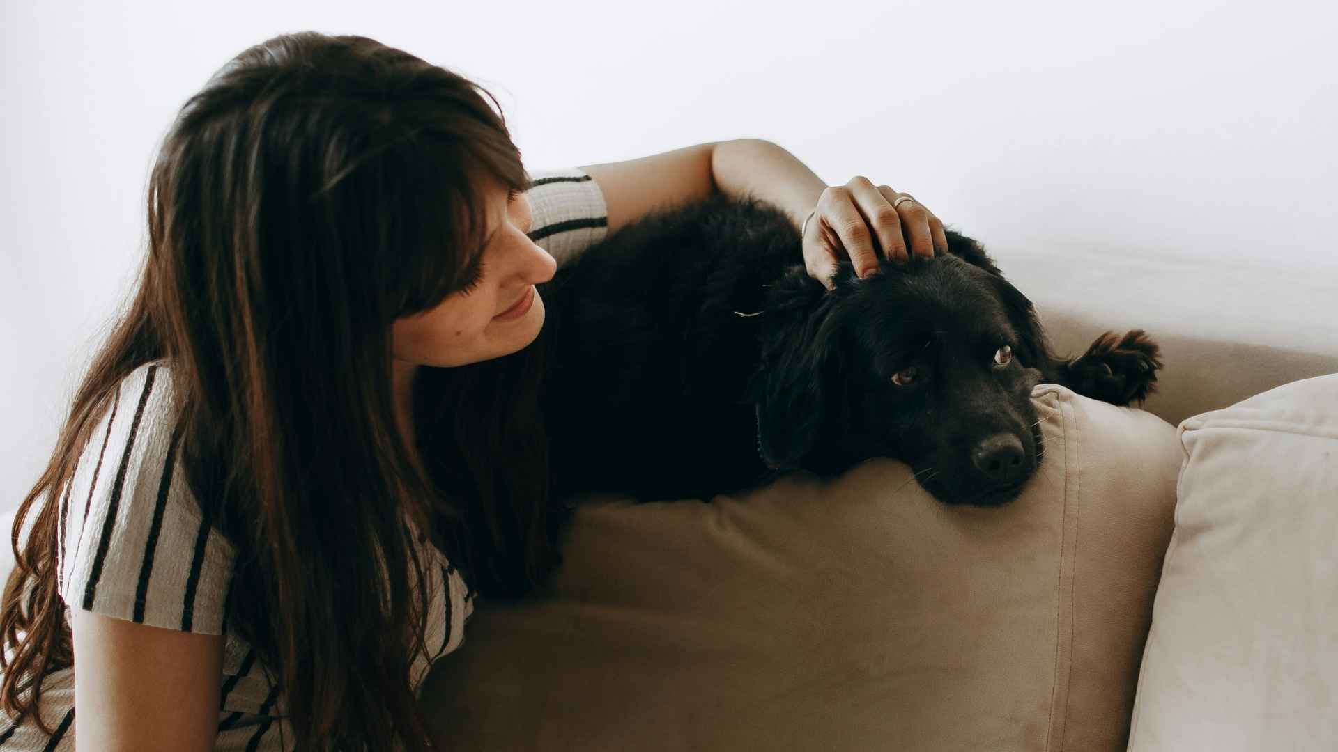 Calculadora edad perros en humanos